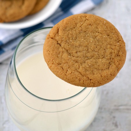 soft ginger cookie